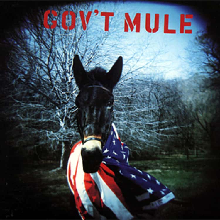 CD Gov't Mule - Gov't Mule