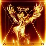 CD Picture - Wings (Slipcase) 2019